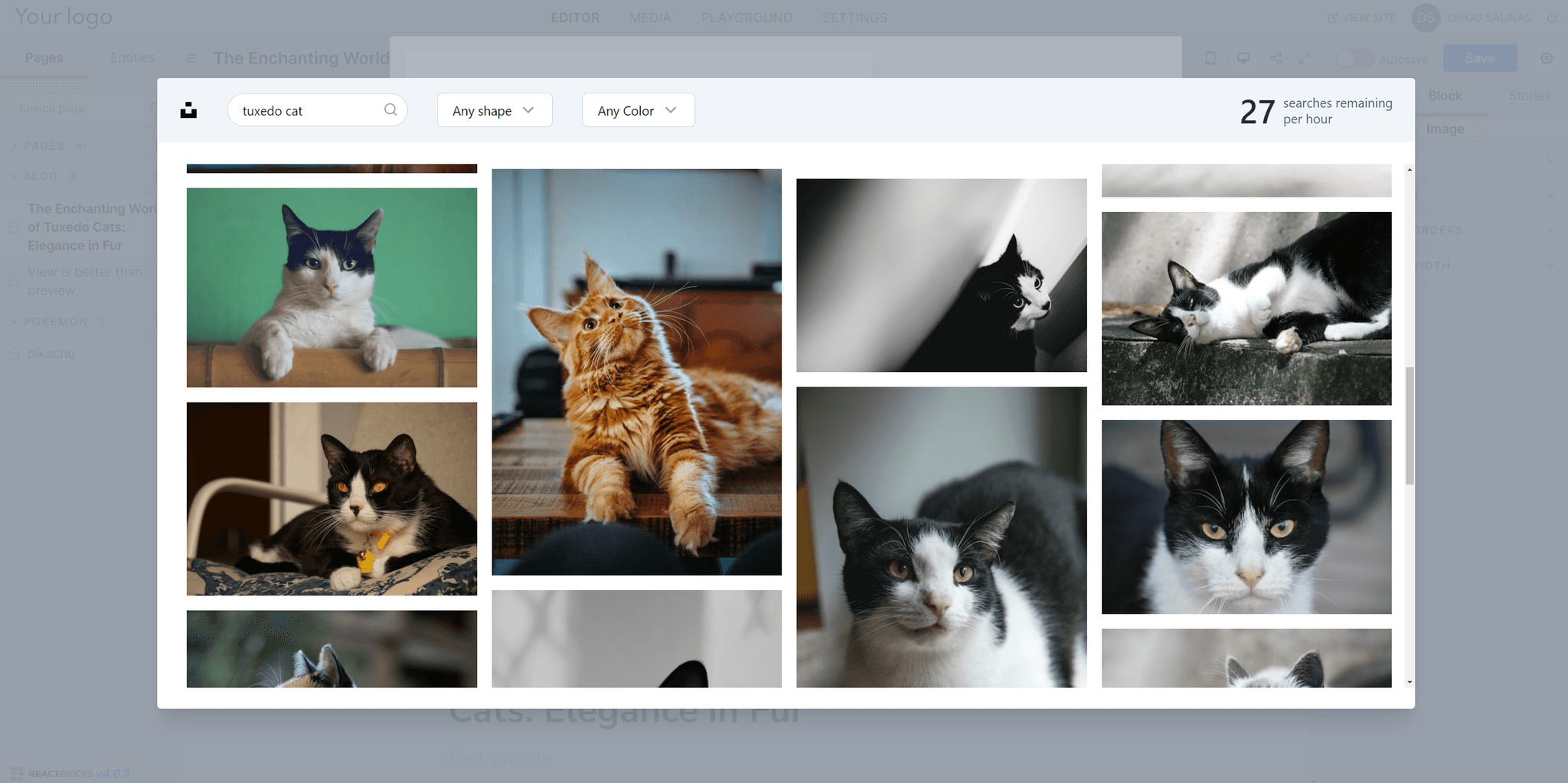 feature image - React Bricks feature image